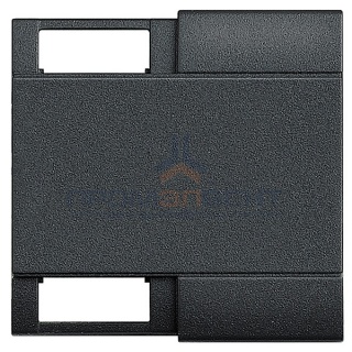 LivingLight Клавиша с 2 отверстиями для вставки символа, размер 2 модуля, цвет антрацит