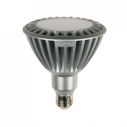 Лампа Gauss LED PAR38 E27 15W 2700K