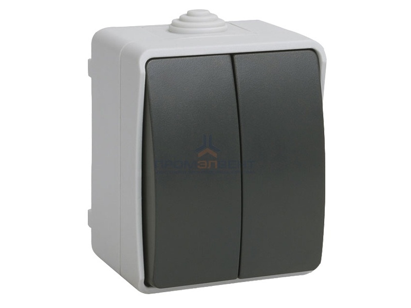 ВС20-2-0-ФСр Выключатель двухклавишный для открытой установки IP54