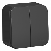 Выключатель 2-клавишный (cх.5) Blanca Schneider Electric 10А 250В антрацит